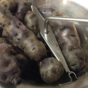 purple potatoes 04