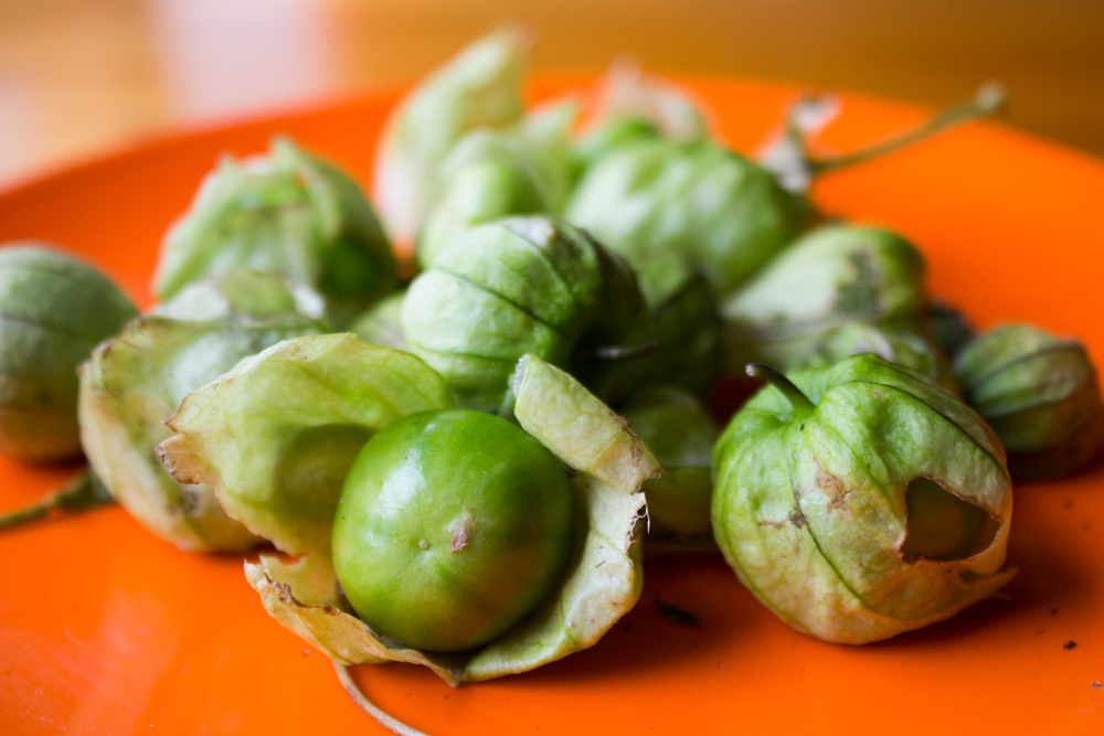 Tomatillo from the Jacican kitchen garden